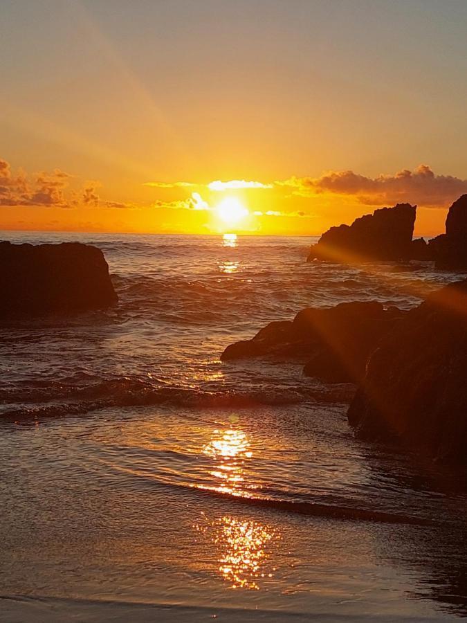 Sun - Surf Camp &